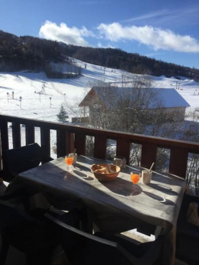 Appart très ensoleillé 7 pers au pied des pistes Ancelle